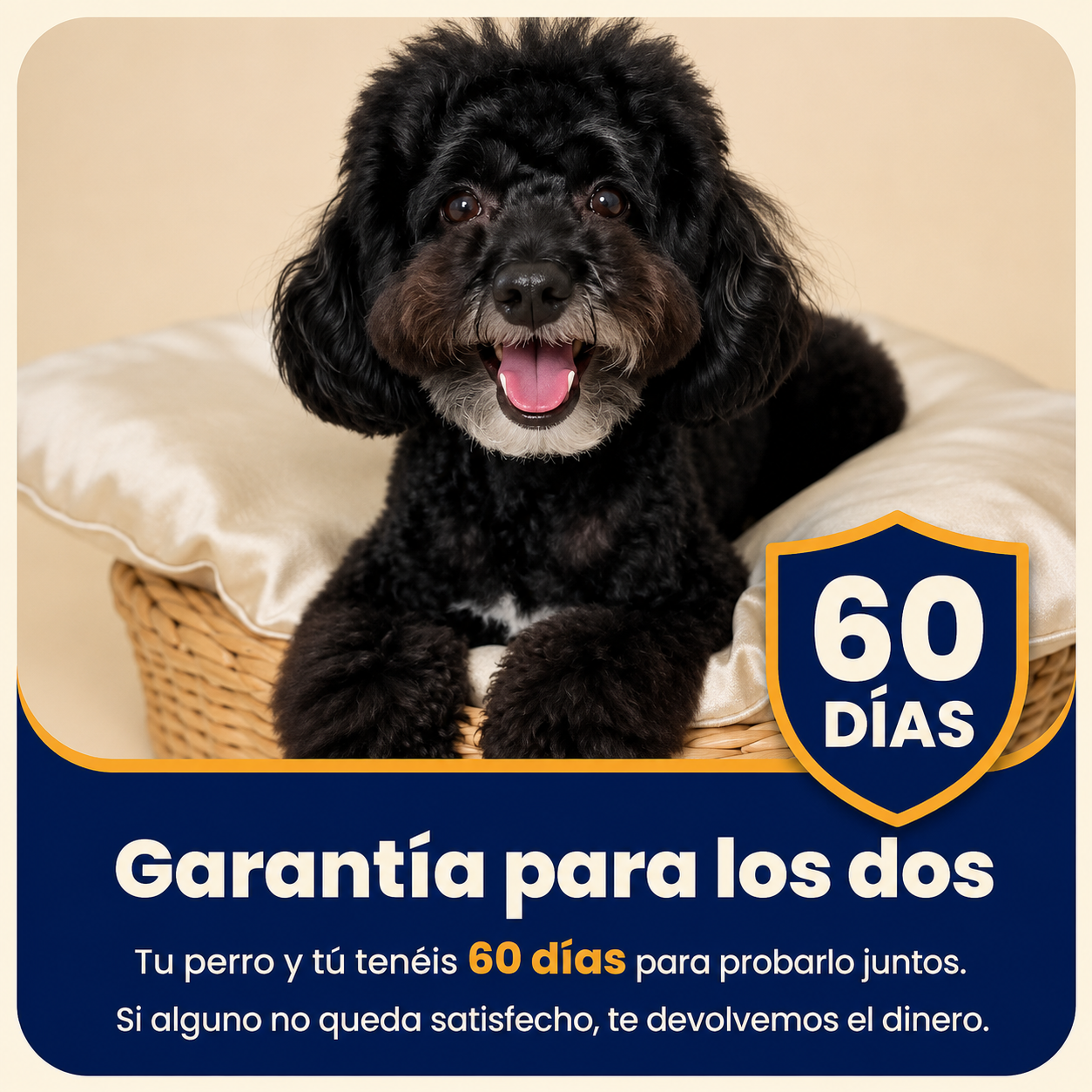 Cepillo Spa 3 en 1 para Perros